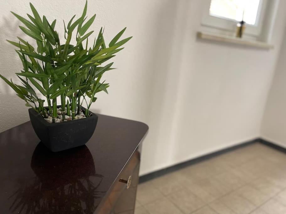 Appartements « La Parenthese » Висембург Екстериор снимка